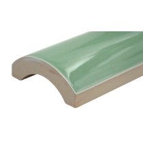 TRIVENI - 2X12, FOREST CURVE, GLOSSY